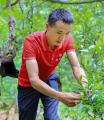 云南林丽缘商贸有限公司董事长龚天良