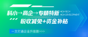 一文打通企业升级路！科小→高企→专精特新全路径+小巨人指南，工科信（深圳）帮企业少走3年弯路