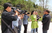 快讯：互联网电信诈骗危险驾驶犯罪仍将高发