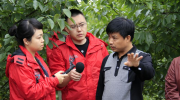 快讯：河南省公示特色农产品特点区名单 33地入选